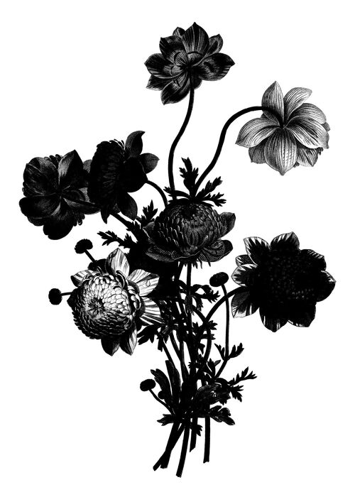 Black and White Vintage Bouquet 2 - 50x70 - Matte