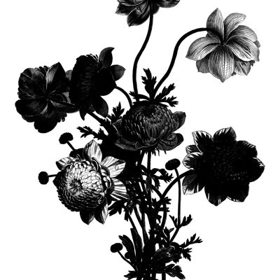 Schwarz-Weiß-Vintage-Blumenstrauß 2 - 50x70 - Matt