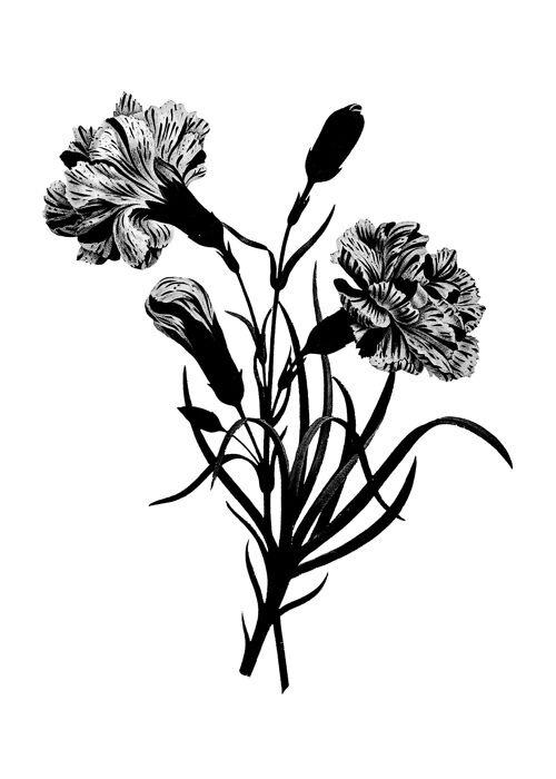 Black and White Vintage Bouquet 3 - 50x70 - Matte
