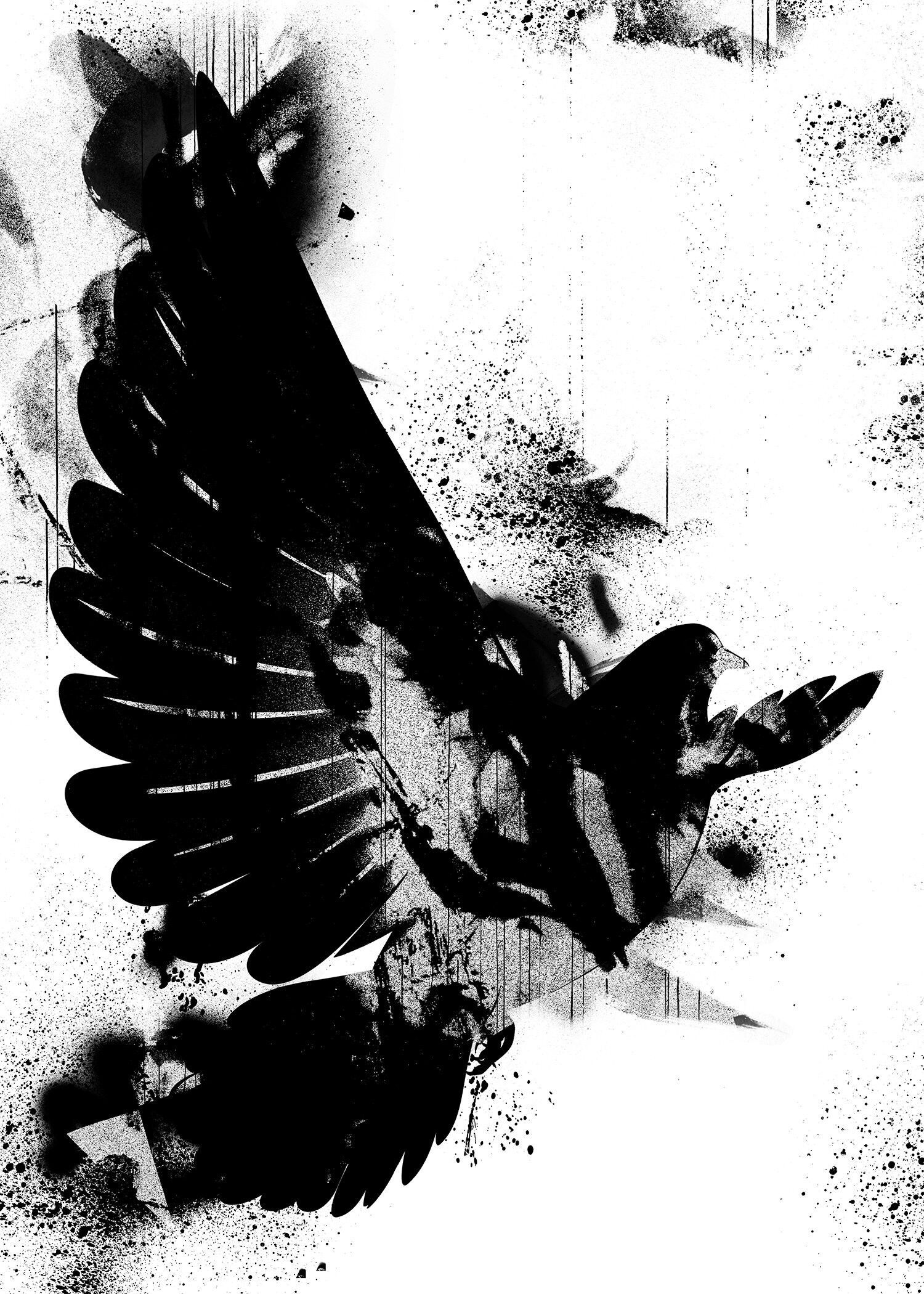 Stampa Graffiti Colomba - 50x70 - Opaco