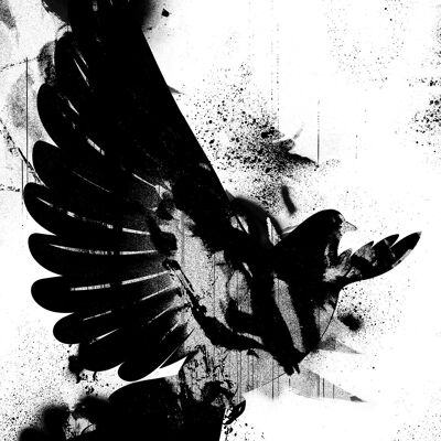 Dove Graffiti Print - 50x70 - Matte