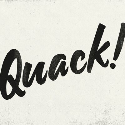 Quack Animal Noises Print - 50x70 - Matte