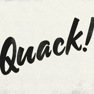 Quack Animal Noises Print - 50x70 - Matt