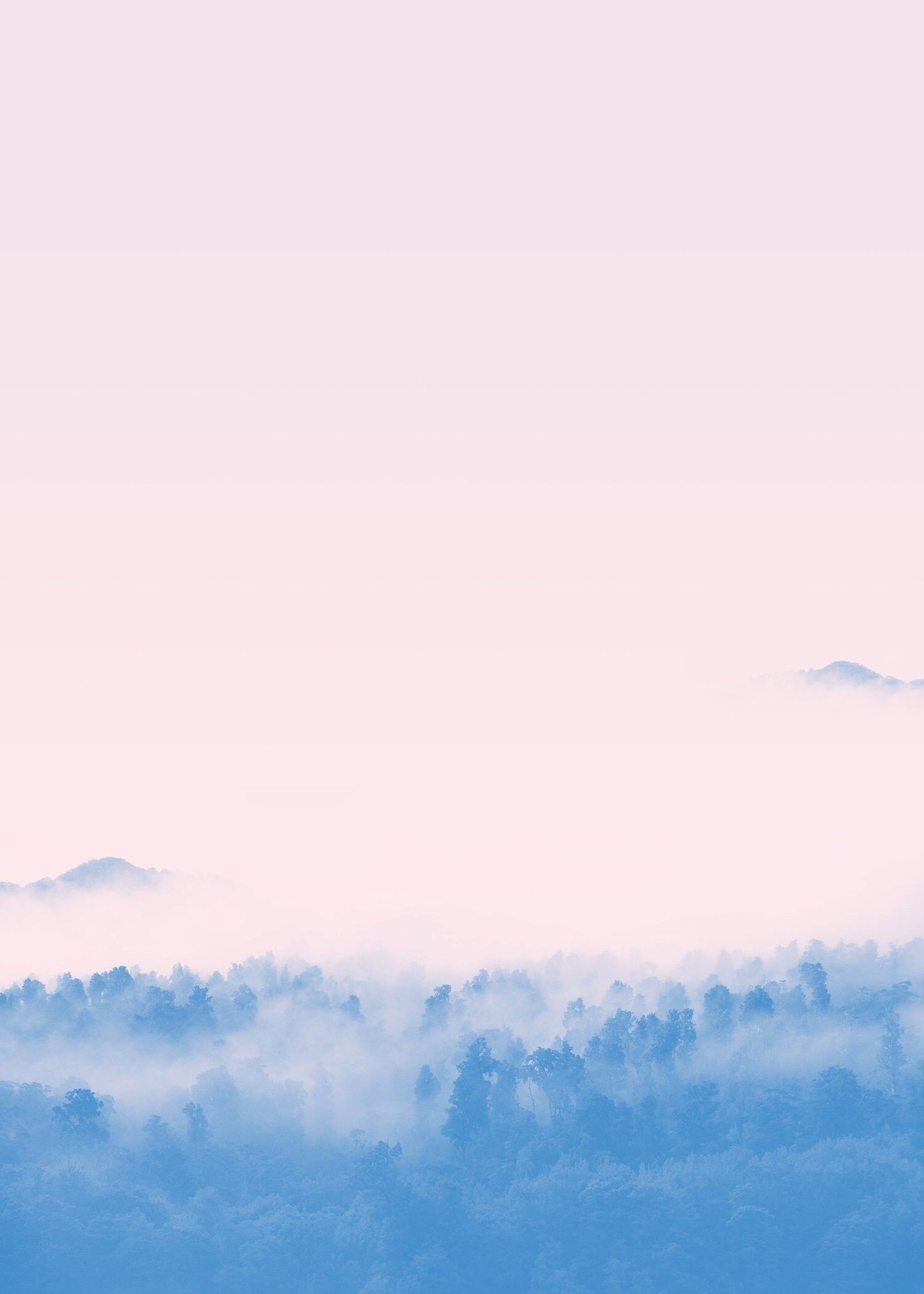 Stampa Misto Rosa Foresta - 50x70 - Opaco