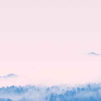 Forest Pink Blend Print - 50x70 - Matte