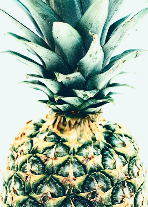 Pineapple print - 50x70 - Matte