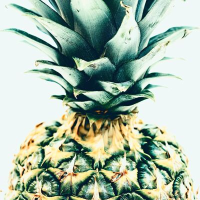 Ananas-Druck - 50x70 - Matt