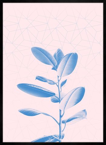 Imprimé Rose Géométrique Plante - 50x70 - Mat 3