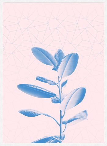 Imprimé Rose Géométrique Plante - 50x70 - Mat 4