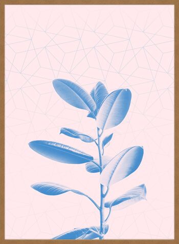 Imprimé Rose Géométrique Plante - 50x70 - Mat 5