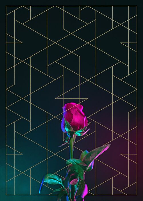 Rose Print - 50x70 - Matte