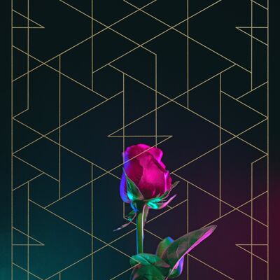 Impresión de rosas - 50x70 - Mate
