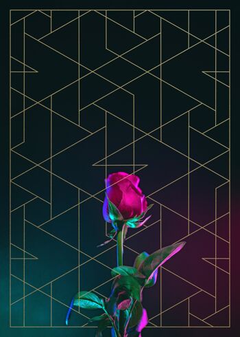 Imprimé Rose - 50x70 - Mat 1