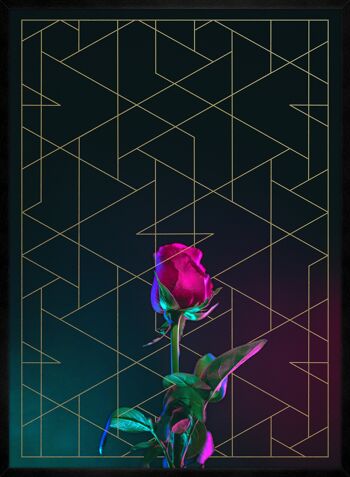 Imprimé Rose - 50x70 - Mat 2