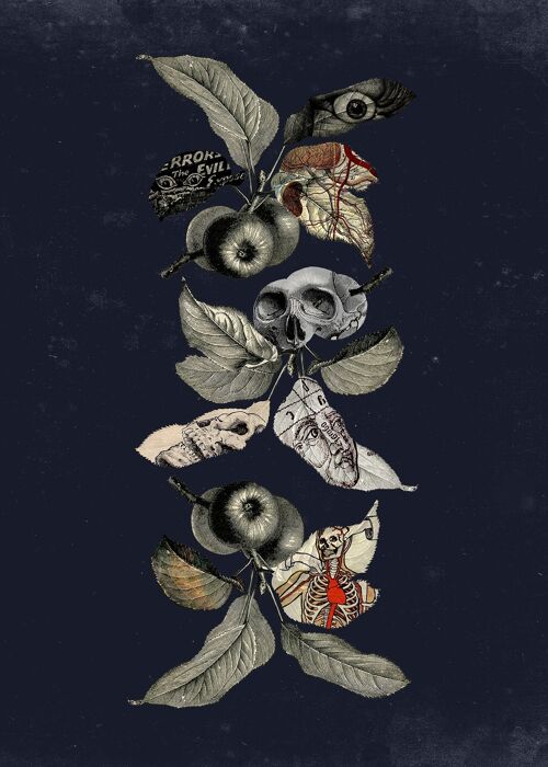 Botanical Skulls Navy Print - 50x70 - Matte