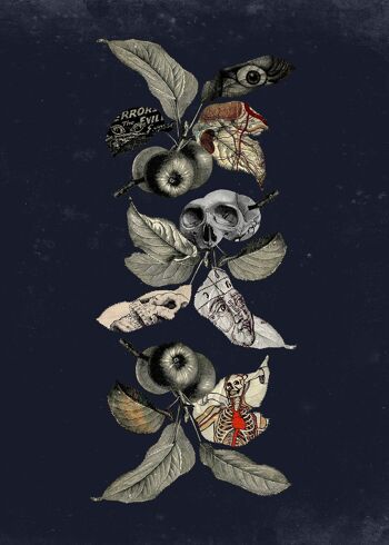 Imprimé Botanical Skulls Navy - 50x70 - Mat 1