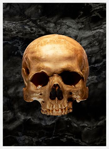 Imprimé Marbre Crâne Doré - 50x70 - Mat 4