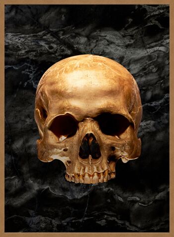 Imprimé Marbre Crâne Doré - 50x70 - Mat 5