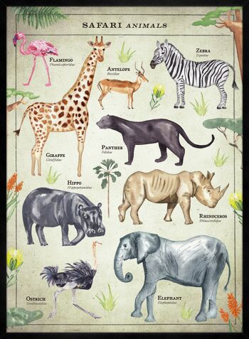 Tableau des animaux Safari de style vintage imprimé éducatif - 50 x 70 - mat 3