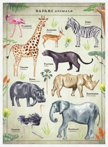 Tableau des animaux Safari de style vintage imprimé éducatif - 50 x 70 - mat 4