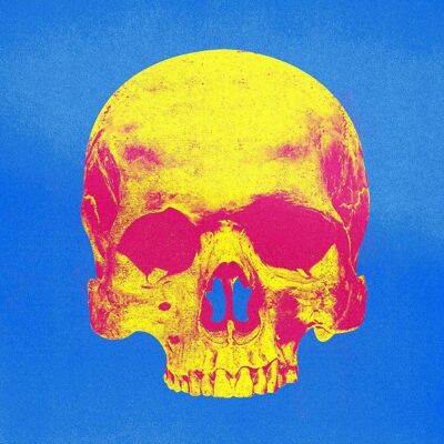 Impresión de calavera azul y amarilla estilo Pop Art Warhol - 50 x 70 - Mate