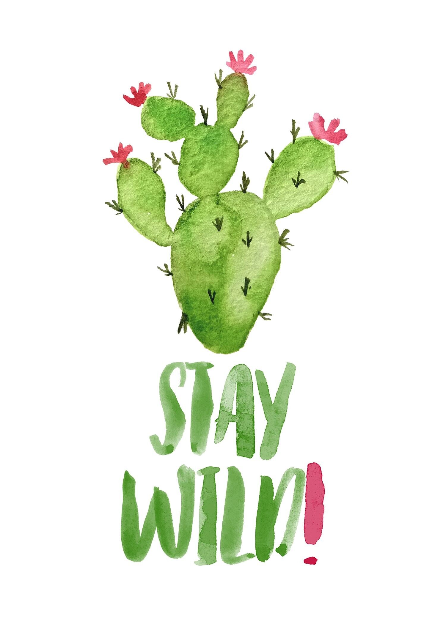 Stay Wild Cactus acquerello citazione stampa - 50 x 70 - Matte