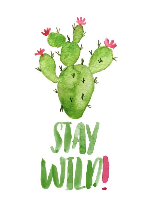 Stay Wild Cactus Watercolour Quote Print - 50x70 - Matte