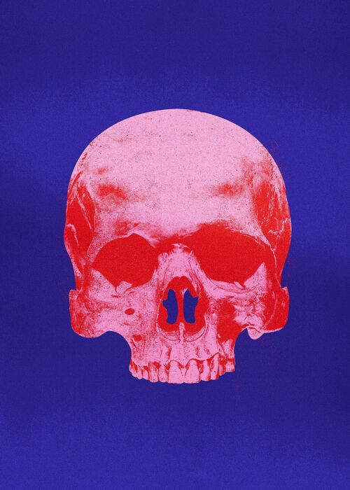 Pop Art Warhol Style Blue & Pink Skull Print - 50x70 - Matte