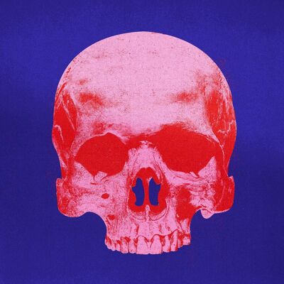 Pop Art Warhol Style Blue & Pink Skull Print - 50x70 - Matte