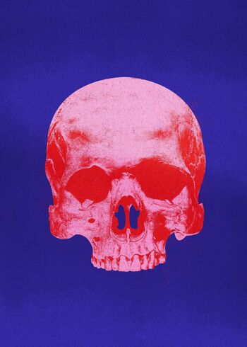 Pop Art Warhol Style Crâne Bleu & Rose Imprimé - 50x70 - Mat 1