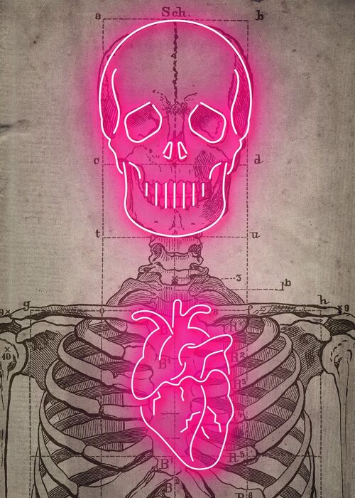 Neon Skeleton Vintage Diagram Print - 50x70 - Matte