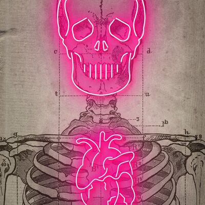 Neon Skeleton Vintage Diagram Print - 50x70 - Matte