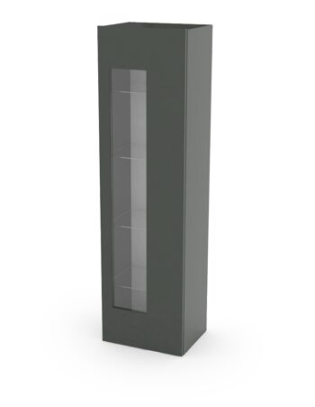 Dmora Meuble colonne avec porte vitrée, Made in Italy, Buffet avec étagères, Vitrine de salon, 45x34h162 cm, Anthracite brillant 2