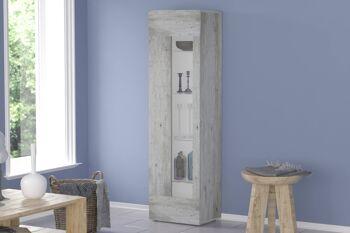 Dmora Meuble colonne avec porte vitrée, Made in Italy, Buffet avec étagères, Vitrine de salon, 45x34h162 cm, Ciment 1
