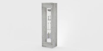 Dmora Meuble colonne avec porte vitrée, Made in Italy, Buffet avec étagères, Vitrine de salon, 45x34h162 cm, Ciment 3