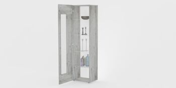 Dmora Meuble colonne avec porte vitrée, Made in Italy, Buffet avec étagères, Vitrine de salon, 45x34h162 cm, Ciment 4