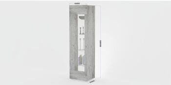 Dmora Meuble colonne avec porte vitrée, Made in Italy, Buffet avec étagères, Vitrine de salon, 45x34h162 cm, Ciment 5
