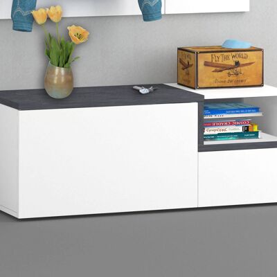 Dmora Mobile da ingresso, Made in Italy, Scarpiera con ripiano, Panca a 2 ante, cm 120x40h54, Bianco lucido e Grigio Ardesia