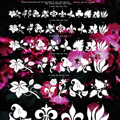 Typographic Ornaments Floral Print - 50x70 - Matte