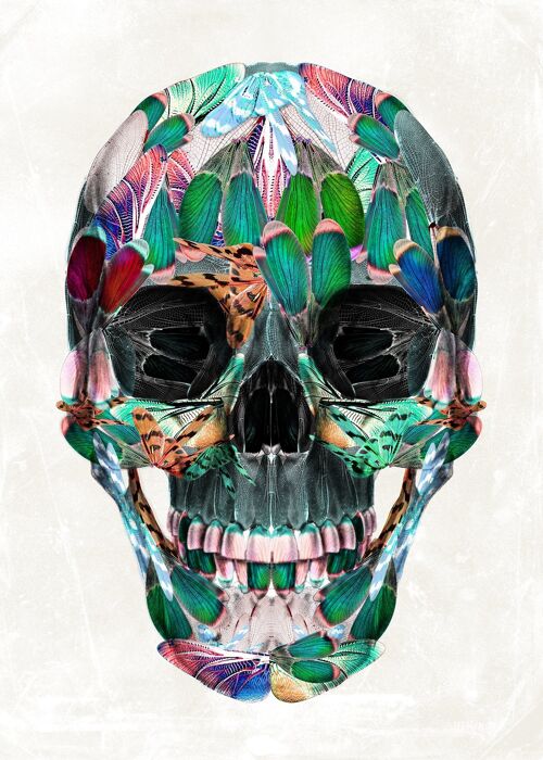 White Wings Skull Print - 50x70 - Matte