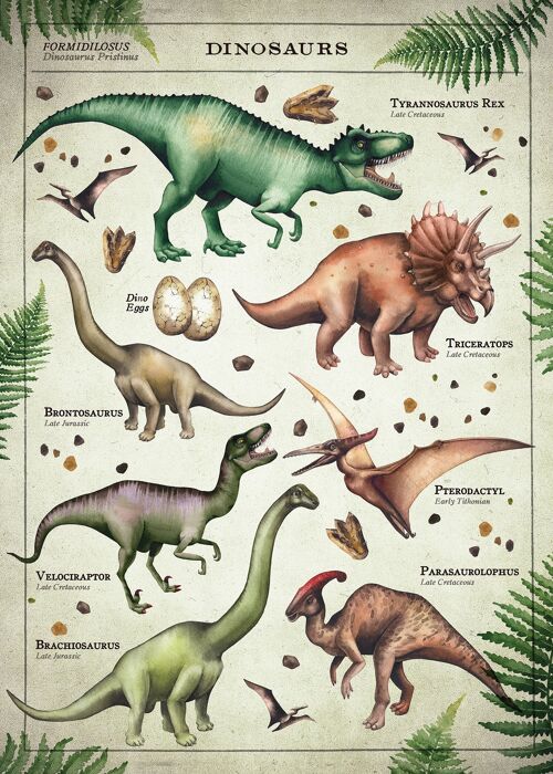 Vintage Style Dinosaur Chart Educational Print - 50x70 - Matte