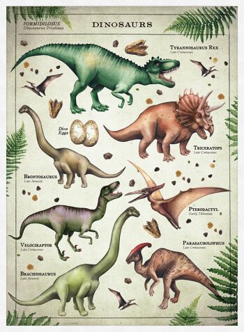 Tableau de dinosaure de style vintage imprimé éducatif - 50 x 70 - mat 4