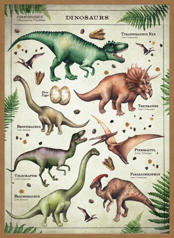 Tableau de dinosaure de style vintage imprimé éducatif - 50 x 70 - mat 5