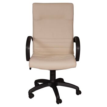 Fauteuil de bureau pivotant Dmora, Chaise de bureau pour étude avec accoudoirs, assise en cuir, Made in Italy, cm 61 x 60 x h110/121, couleur Beige 2