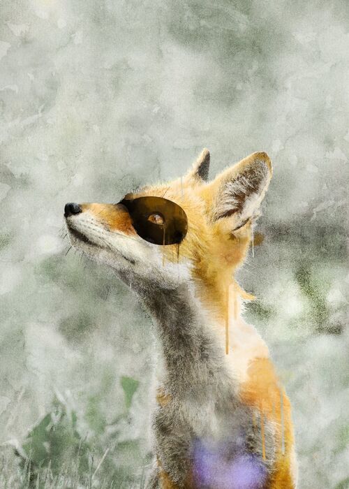 Super Fox! Little Heroes Animal Print - 50x70 - Matte