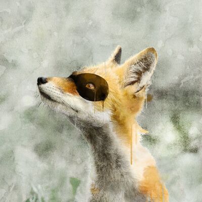 Super Fox! Little Heroes Animal Print - 50x70 - Matt