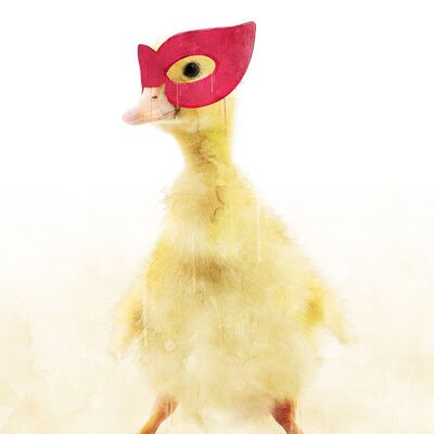Super petit canard! Imprimé Animal Petits Héros - 50x70 - Mat