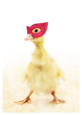 Super petit canard! Imprimé Animal Petits Héros - 50x70 - Mat 3