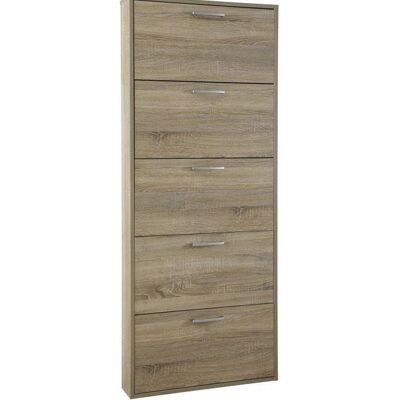 Dmora Scarpiera Alcoy, Mobile da ingresso ad, Armadio portascarpe con ripiani, Scarpiera moderna, Rovere, Cm 65x16h164, 5 ante