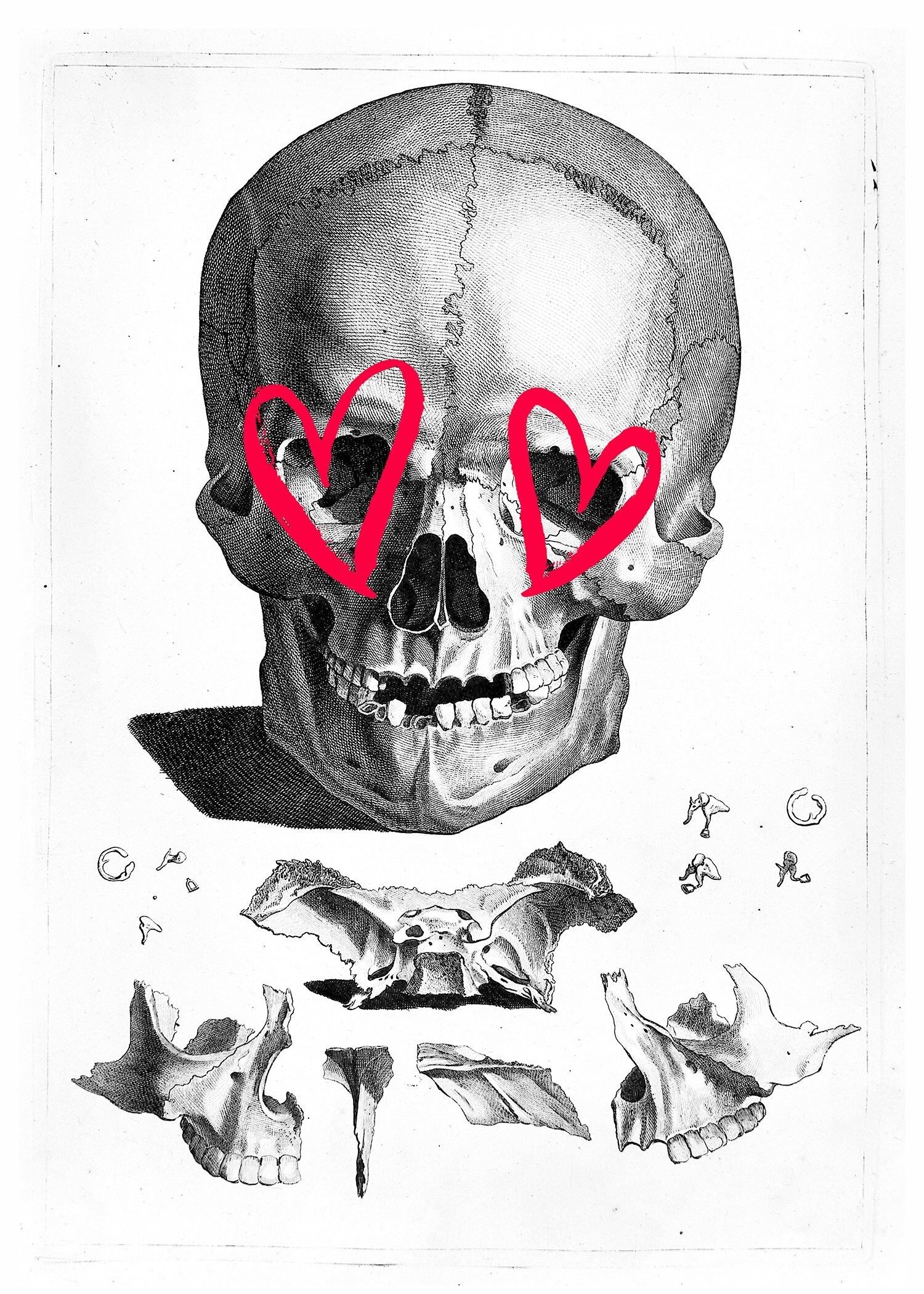 Vintage Skull Drawing Lipstick Eyes Print - 50x70 - Opaco